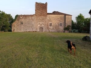 Domaine castral de Marcillac (46) Chapelle