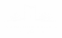 logo bloc blanc sur fond transparent