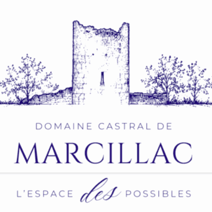 logo bloc bleu sur fond transparent logo bloc bleu sur fond transparent