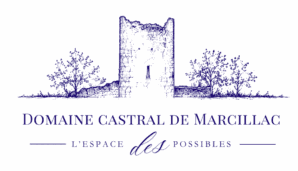 logo ligne bleu sur fond transparent