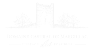 logo bloc blanc sur fond transparent